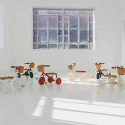 Banwood Trike Driewieler Roze