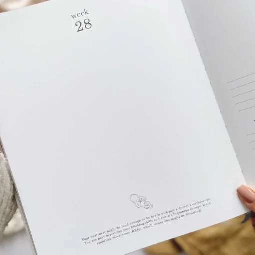 Blush & Gold Zwangerschapsdagboek Pearl