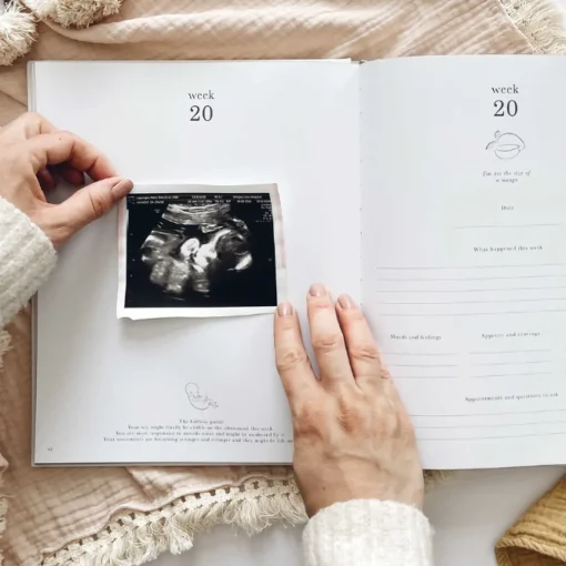 Blush & Gold Zwangerschapsdagboek Pearl