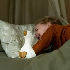 Little Dutch Nachtlampje Little Goose