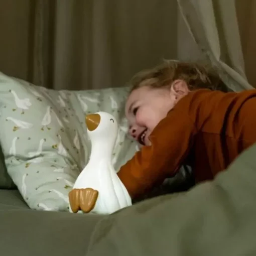 Little Dutch Nachtlampje Little Goose
