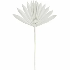 Madam Stoltz Gedroogde Palmbladeren Wit (6St)