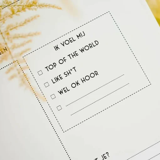Mijn 9 Maanden Boek