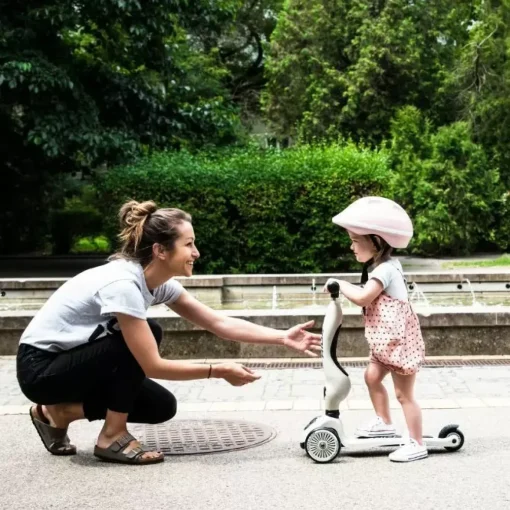 Scoot And Ride Highwaykick 1 Loopfiets-Step Ash